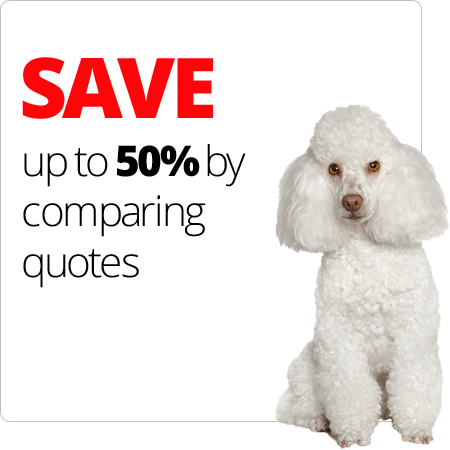 SAVE up to 50% by comparing quotes